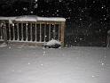 2008-12-20_Snow_Storm 051